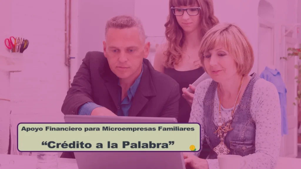 Impulsa Tu Negocio Hoy: Créditos a la Palabra