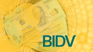 Tus Opciones de Préstamos BIDV: Qué Debes Saber
