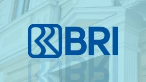 Tu Guía Completa Sobre los Préstamos BRI