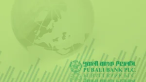 Cómo Solicitar Préstamos Pubali Bank Ahora