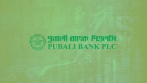 Opciones de Préstamos Pubali Bank Para Ti