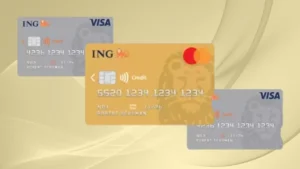 Guía Completa de Tarjetas ING Bélgica - ¡Infórmate!